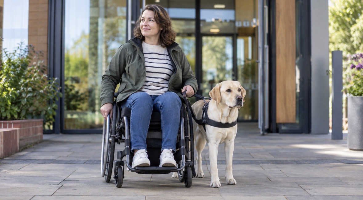 A woman using a wheelchair outdoors with her assistance dog wearing a working harness.