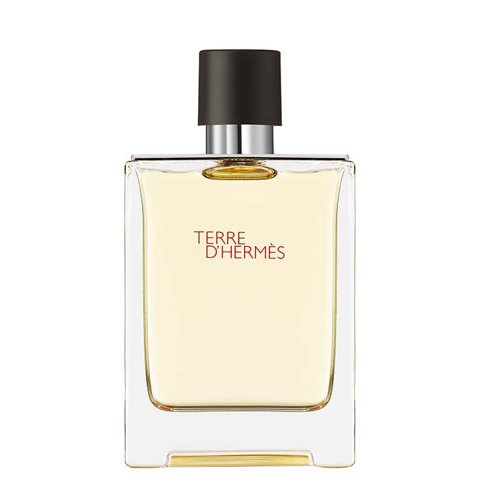 Hermès Terre d'Hermes Eau de Toilette bottle