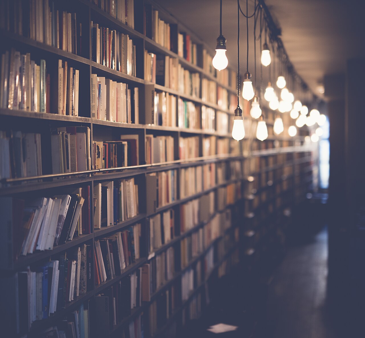 Long bookshop shelves filled with varied books under warm hanging light bulbs